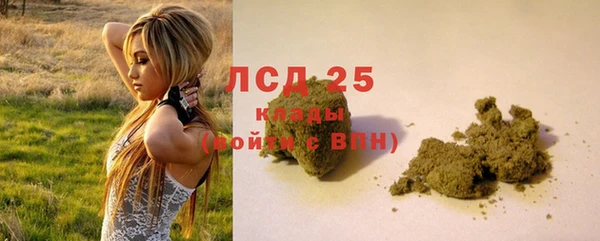 сатива Куйбышев
