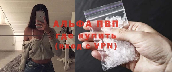 сатива Куйбышев
