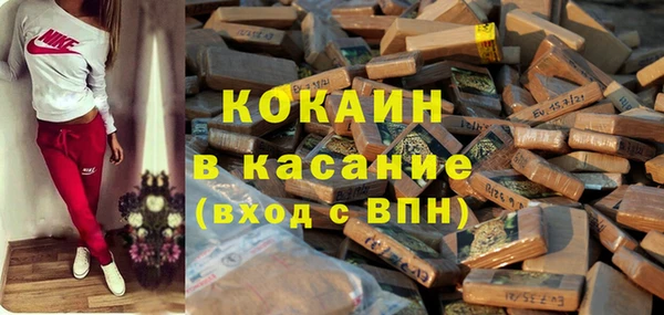 сатива Куйбышев