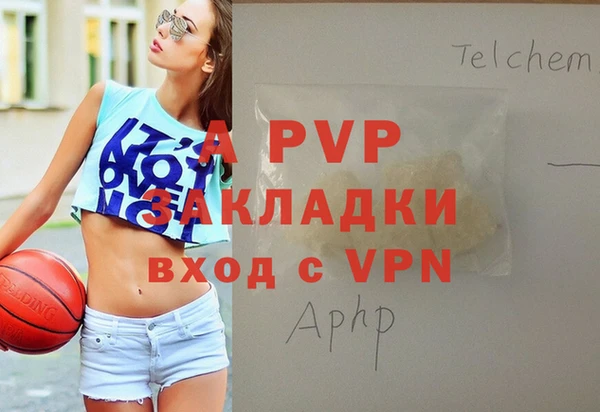 сатива Куйбышев