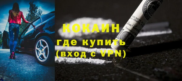 сатива Куйбышев