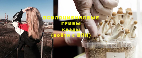 бошки Кулебаки