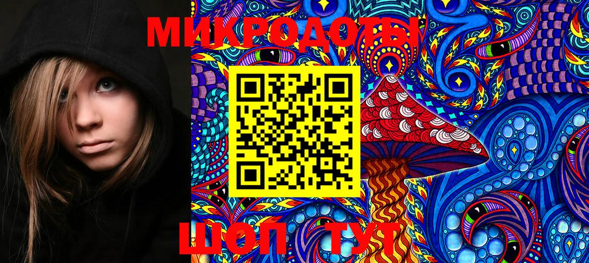 Галлюциногенные грибы Psilocybe  Вход с VPN  Малгобек 