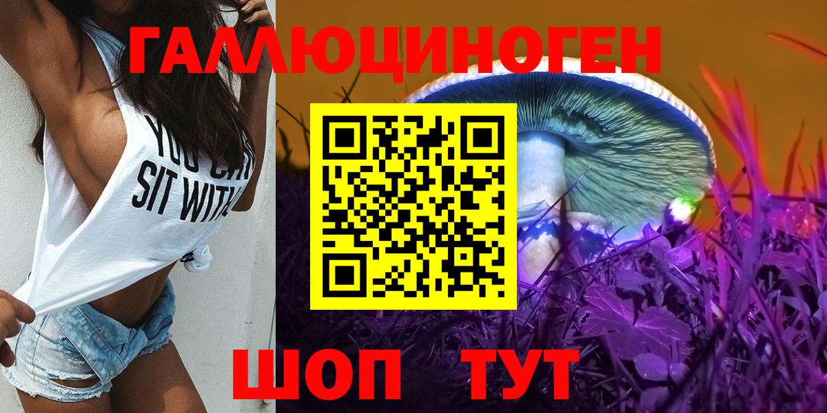 Псилоцибиновые грибы прущие грибы  Малгобек  купить закладку  Галлюциногенные грибы Cubensis 